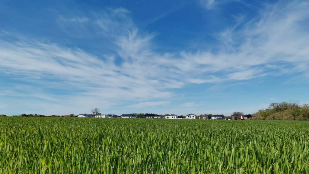 Pracherfeld